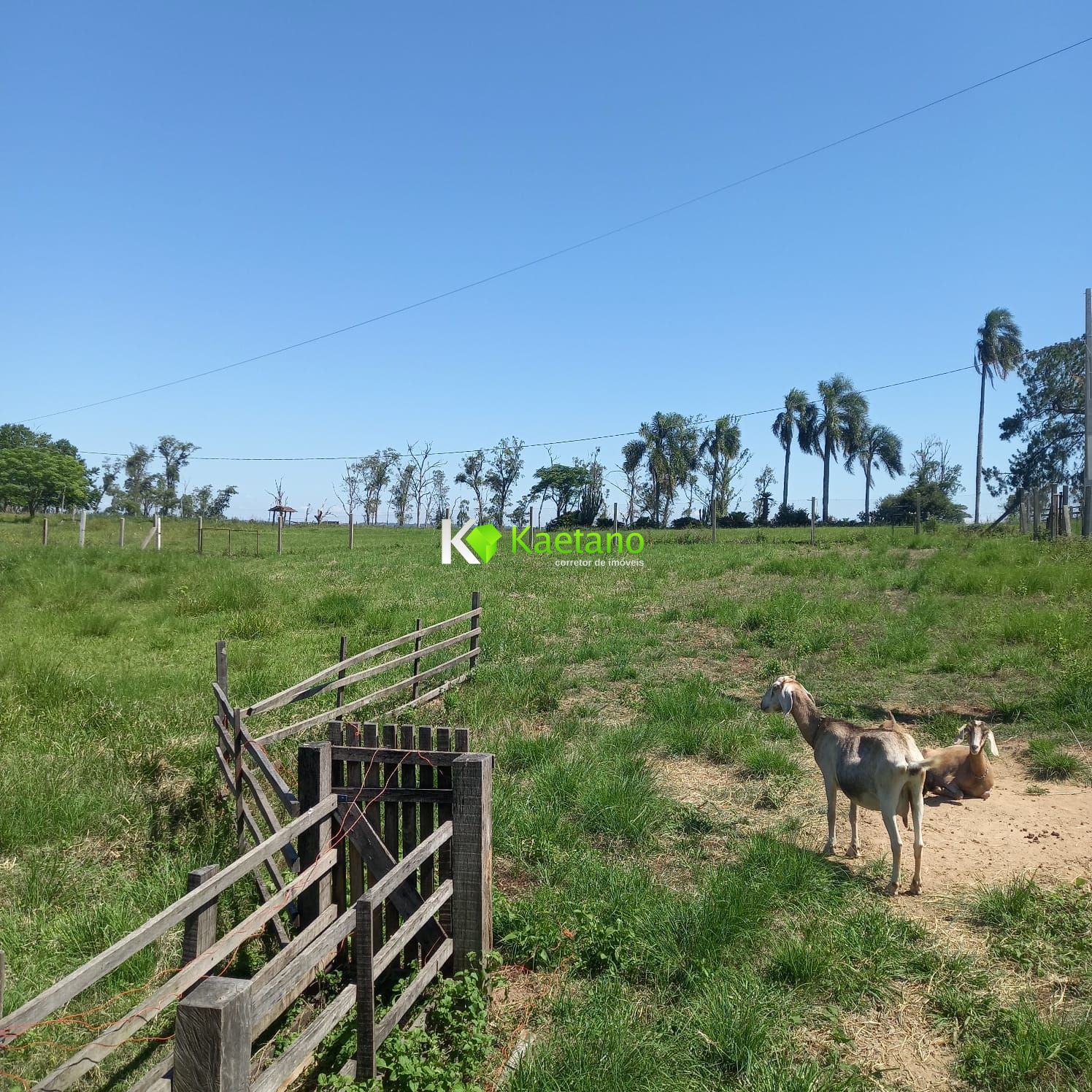 Fazenda à venda com 2 quartos, 125m² - Foto 19