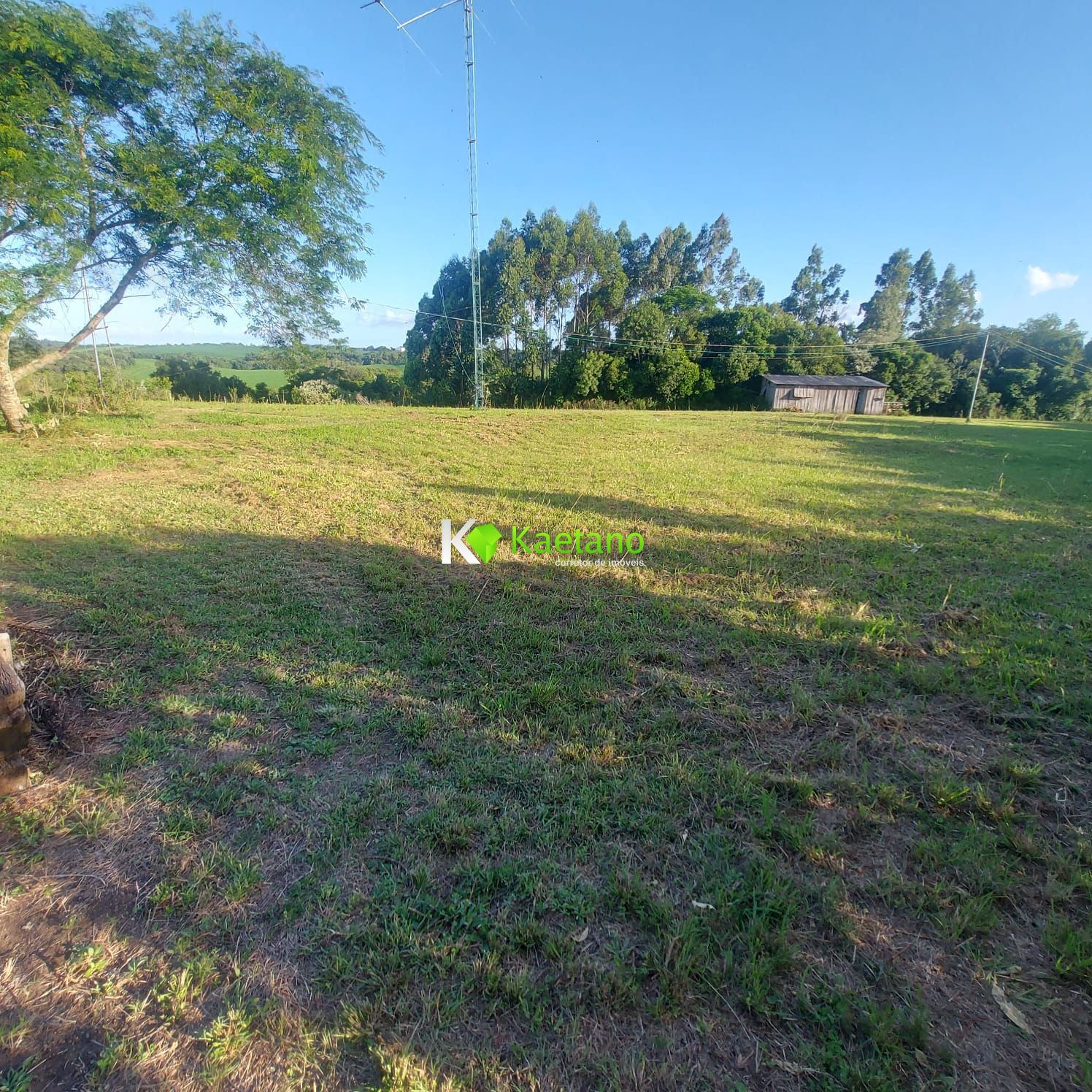 Fazenda à venda com 3 quartos, 210m² - Foto 14