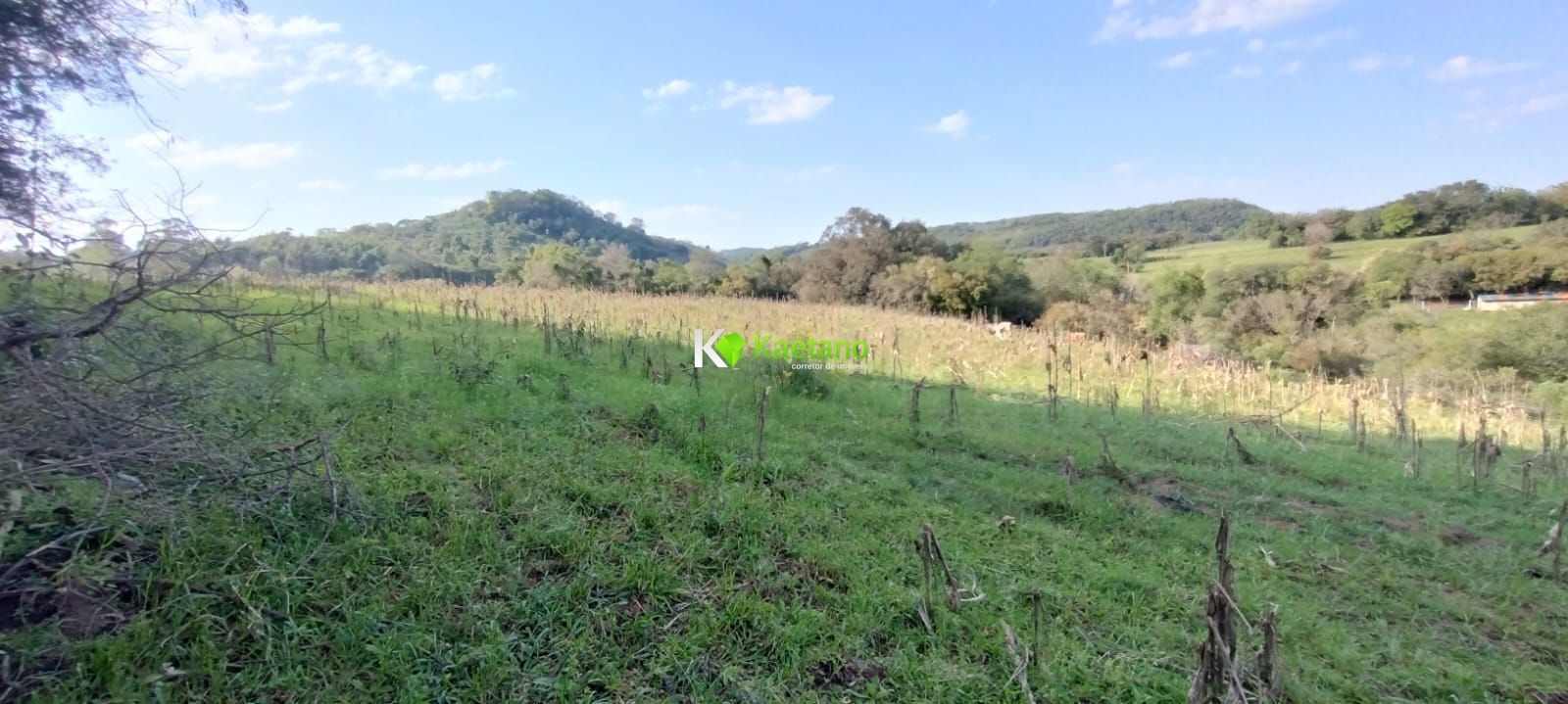 Fazenda à venda com 2 quartos, 50000m² - Foto 6