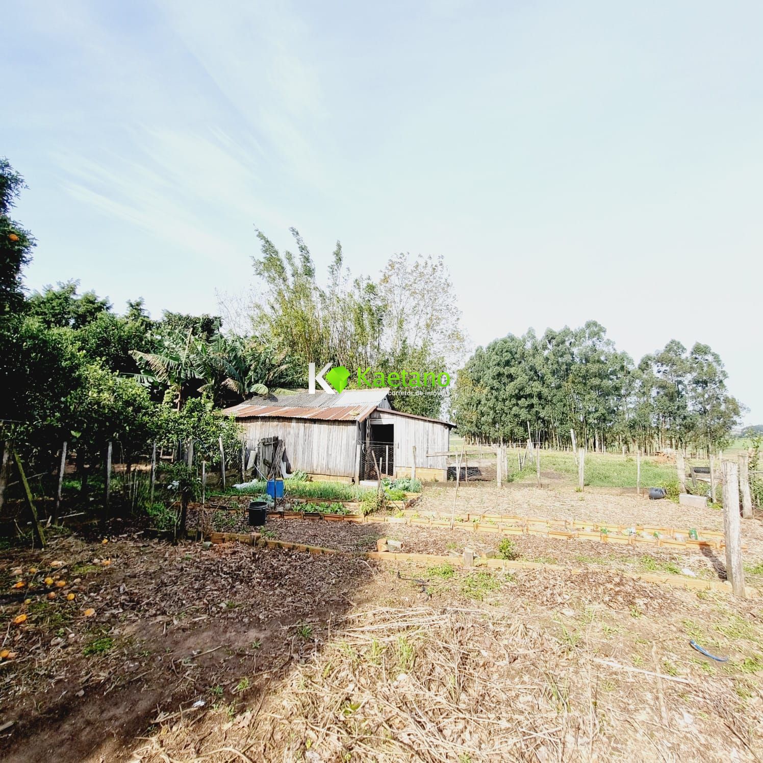 Fazenda à venda com 3 quartos, 158m² - Foto 14