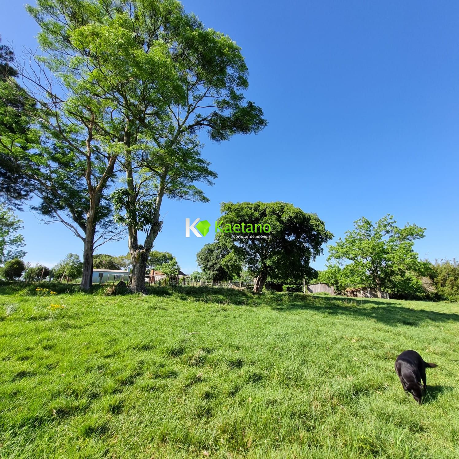 Fazenda à venda com 5 quartos, 200m² - Foto 23