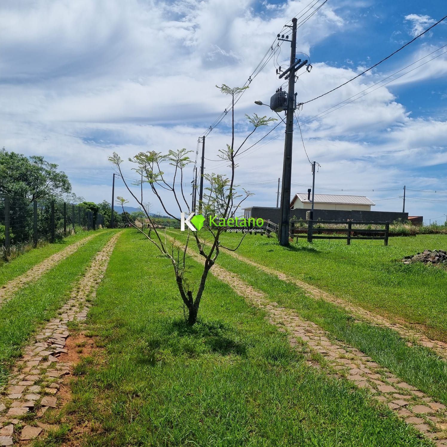 Terreno à venda, 1503m² - Foto 4