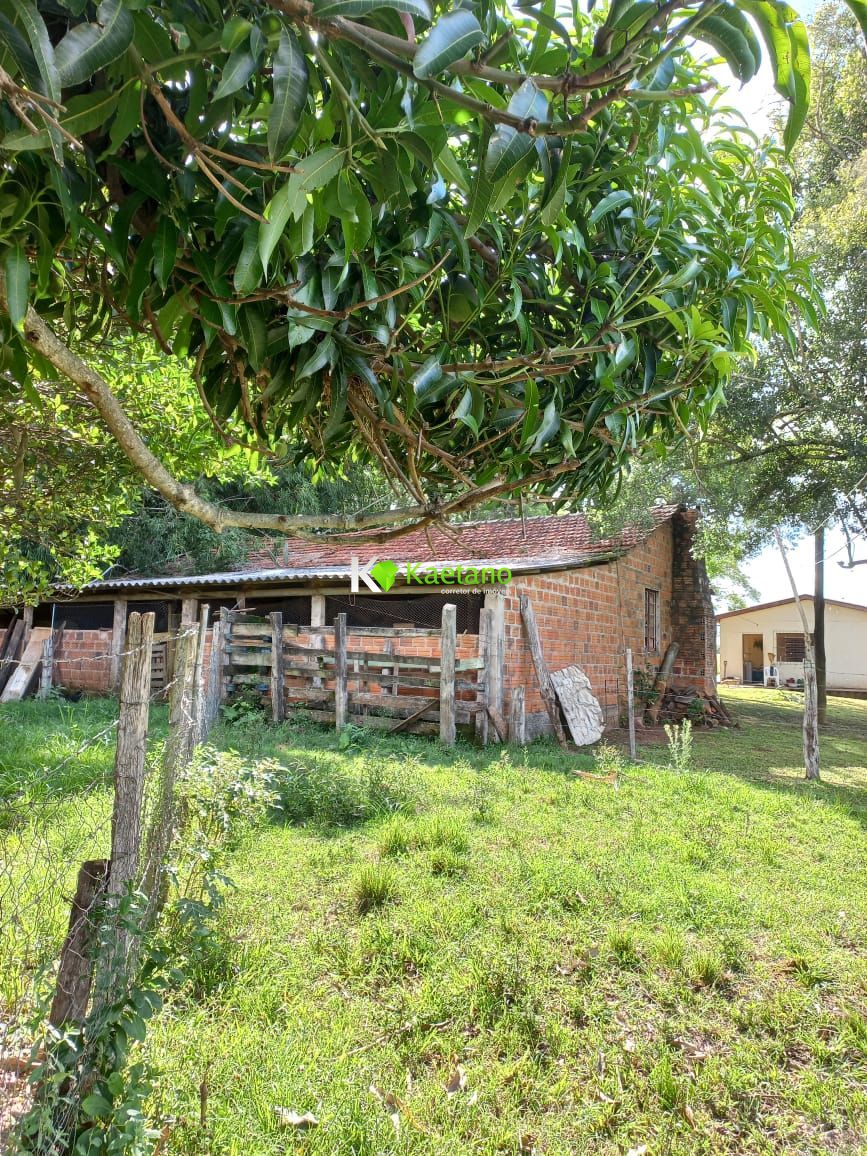 Fazenda à venda com 2 quartos, 100m² - Foto 12