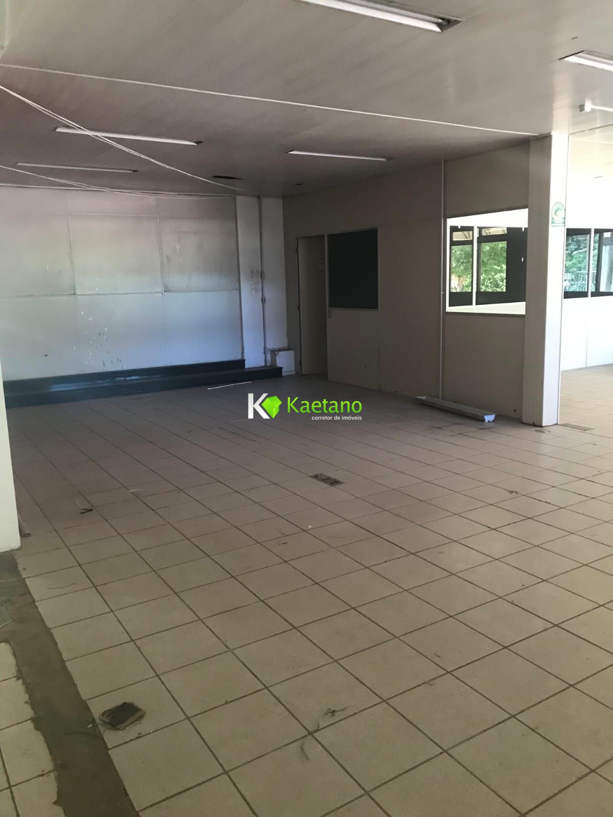 Depósito-Galpão-Armazém à venda com 3 quartos, 3619m² - Foto 11