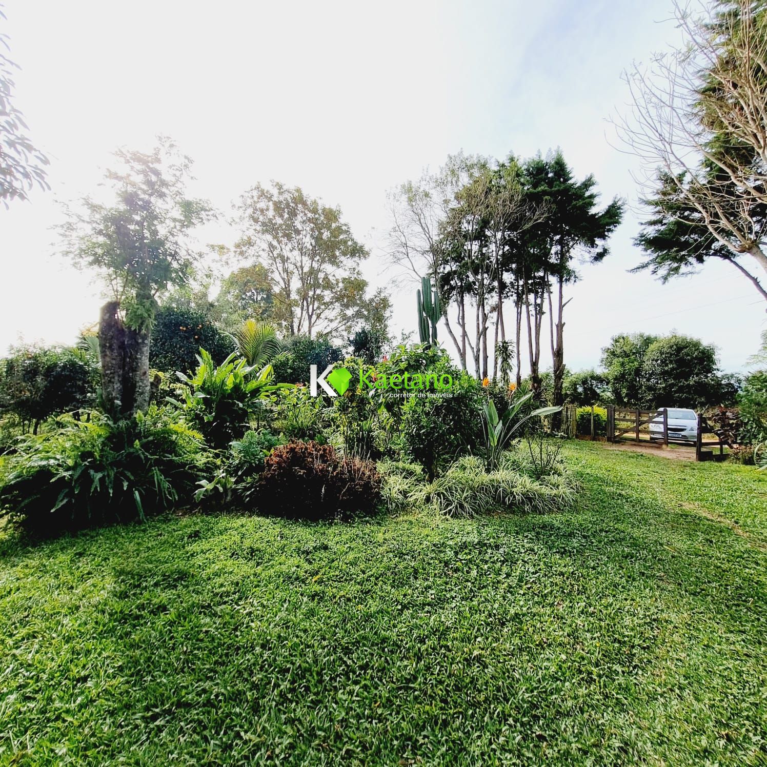 Fazenda à venda com 3 quartos, 120m² - Foto 10