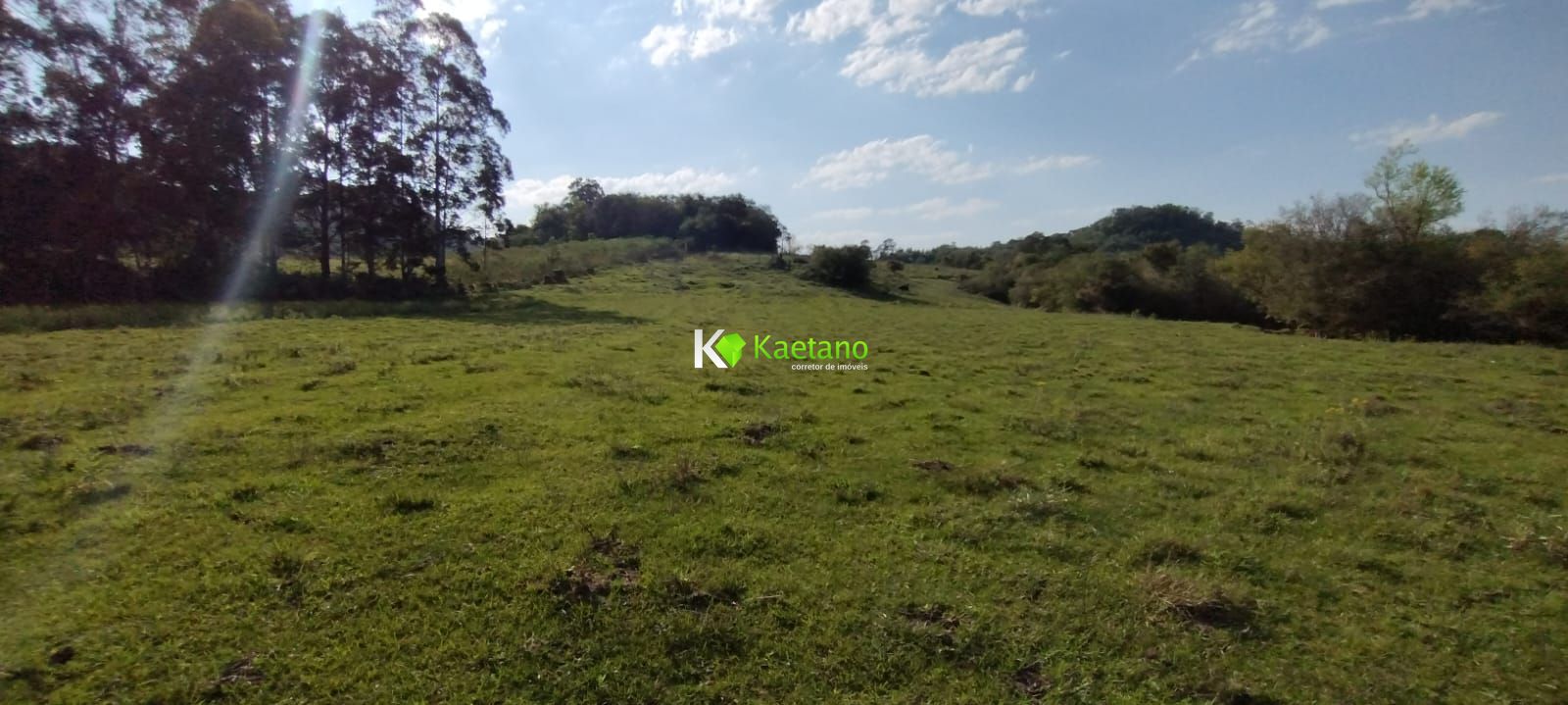 Fazenda à venda com 2 quartos, 50000m² - Foto 8