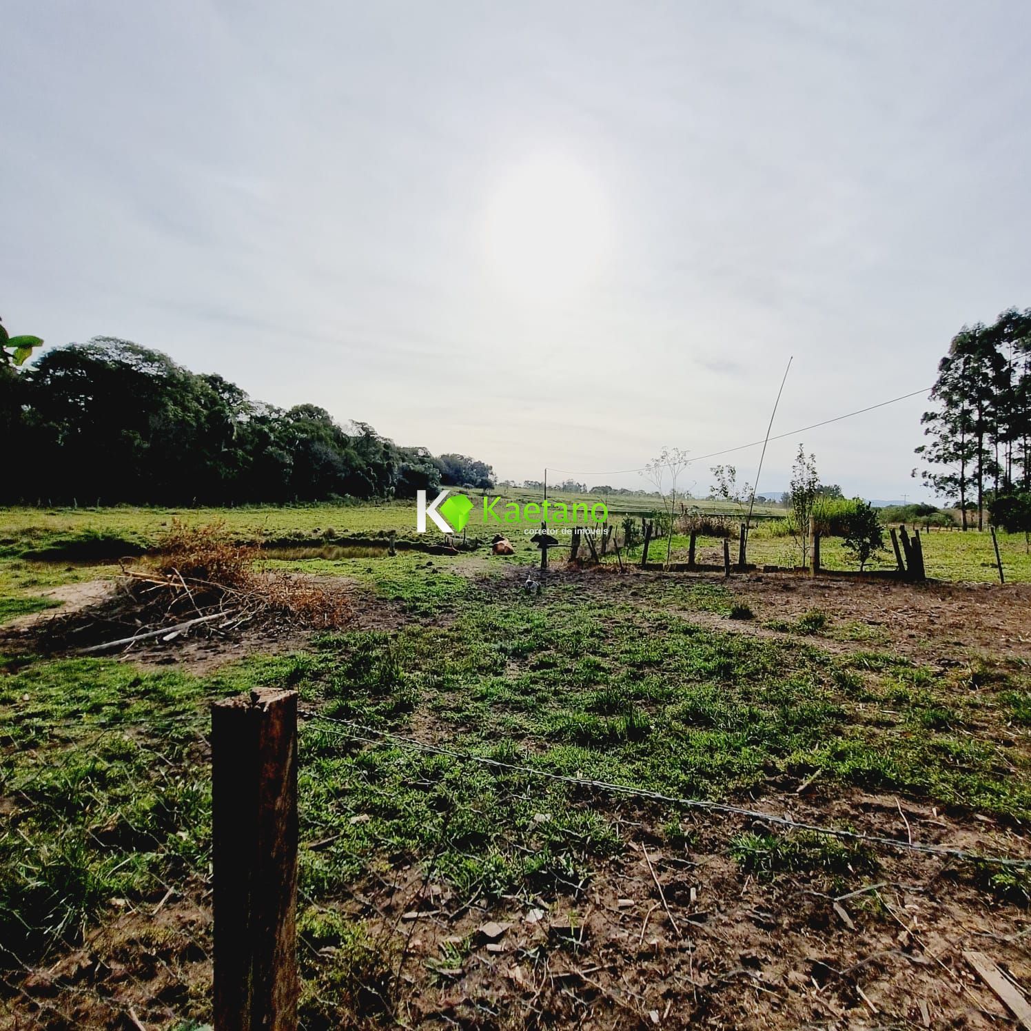 Fazenda à venda com 3 quartos, 120m² - Foto 17