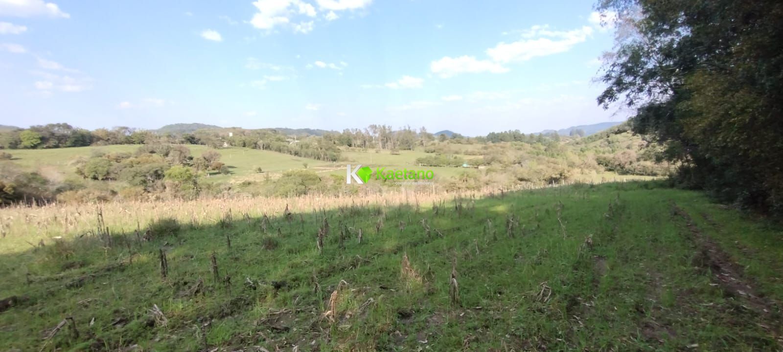 Fazenda à venda com 2 quartos, 50000m² - Foto 14