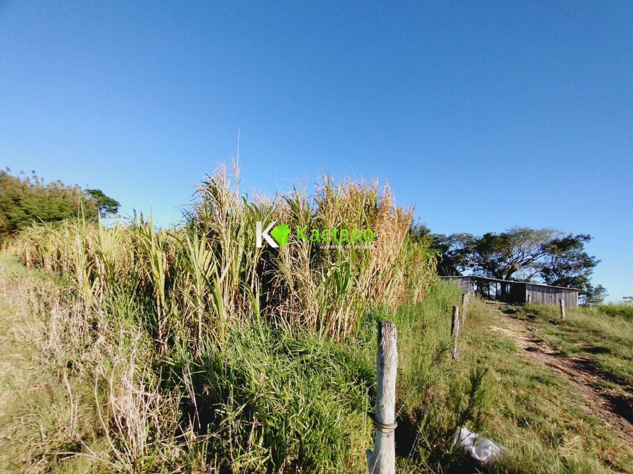 Fazenda à venda com 3 quartos, 100m² - Foto 18