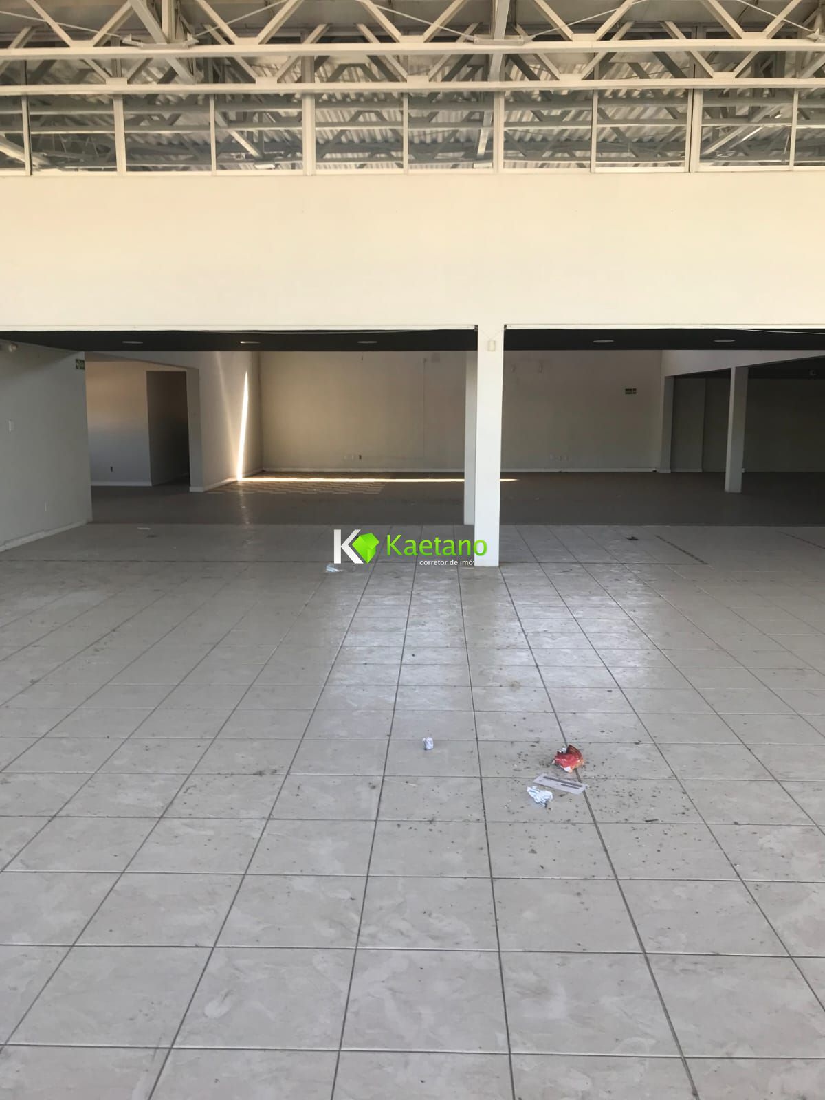 Depósito-Galpão-Armazém à venda com 3 quartos, 3619m² - Foto 9