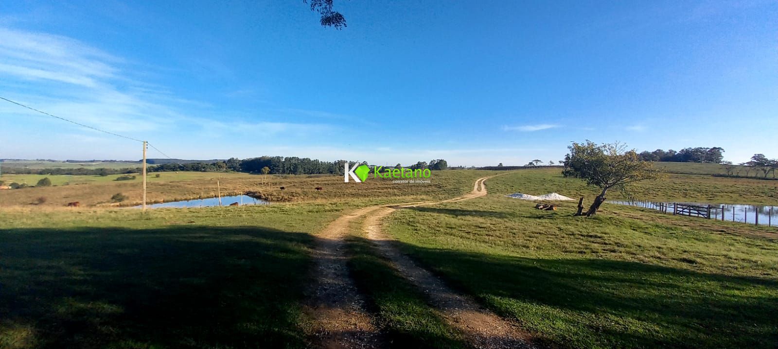 Fazenda à venda com 6 quartos, 660m² - Foto 16