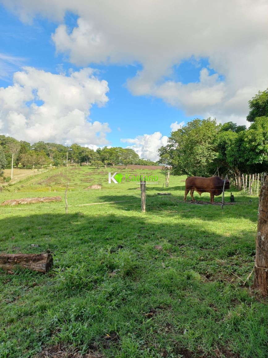 Fazenda à venda com 2 quartos, 100m² - Foto 8