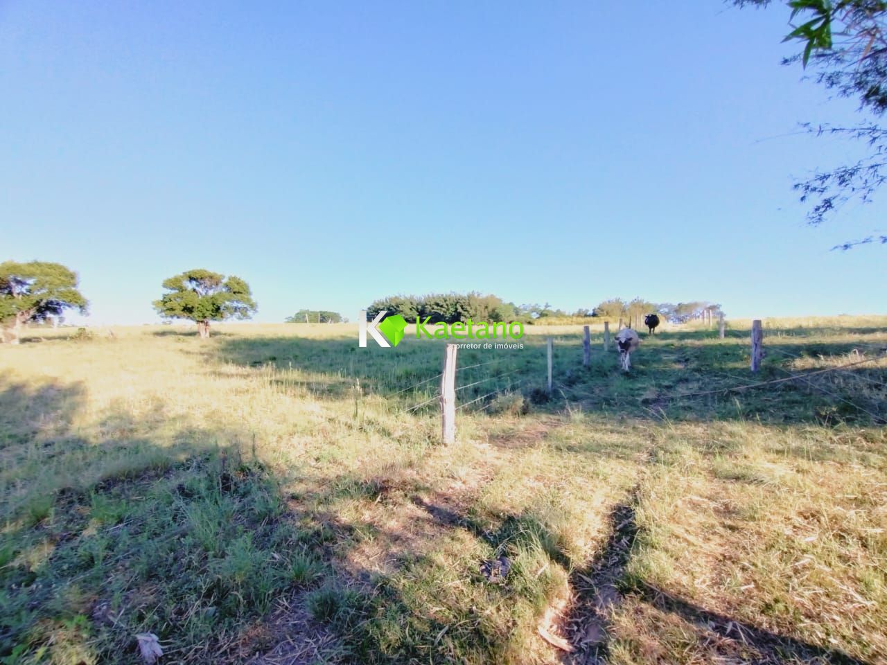 Fazenda à venda com 3 quartos, 100m² - Foto 22