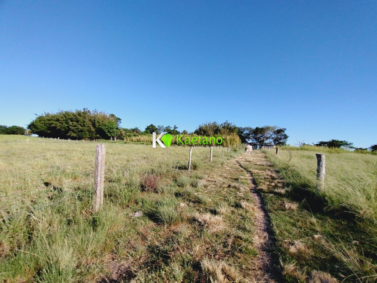 Fazenda à venda com 3 quartos, 100m² - Foto 13