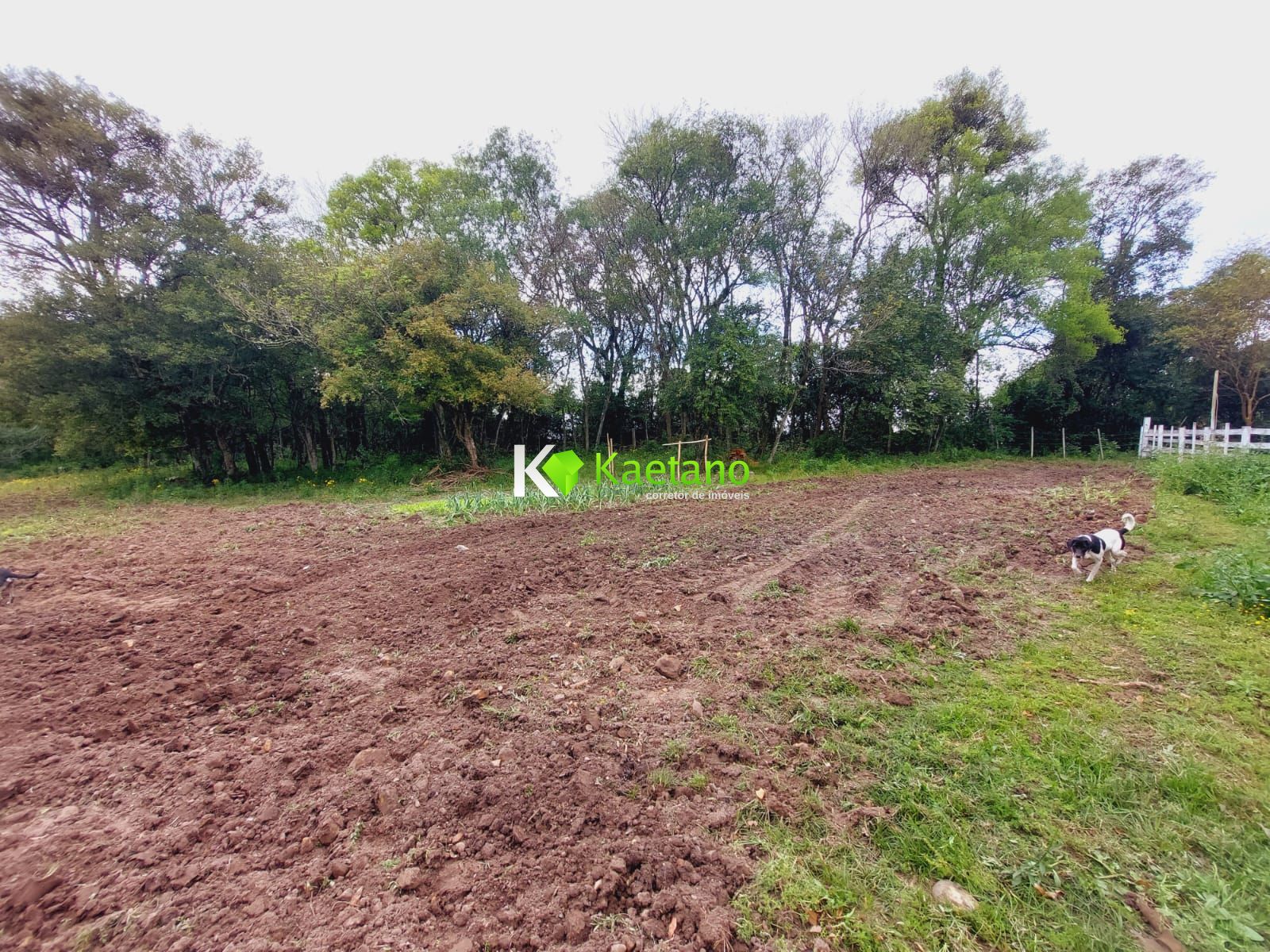 Fazenda à venda com 2 quartos, 80m² - Foto 17