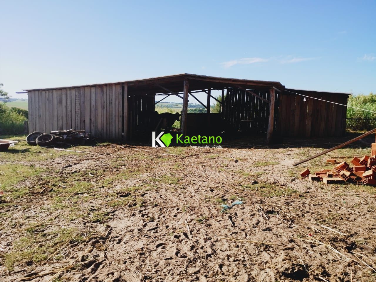 Fazenda à venda com 3 quartos, 100m² - Foto 5