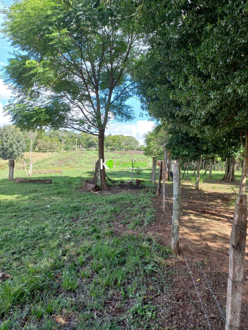 Fazenda à venda com 2 quartos, 100m² - Foto 18