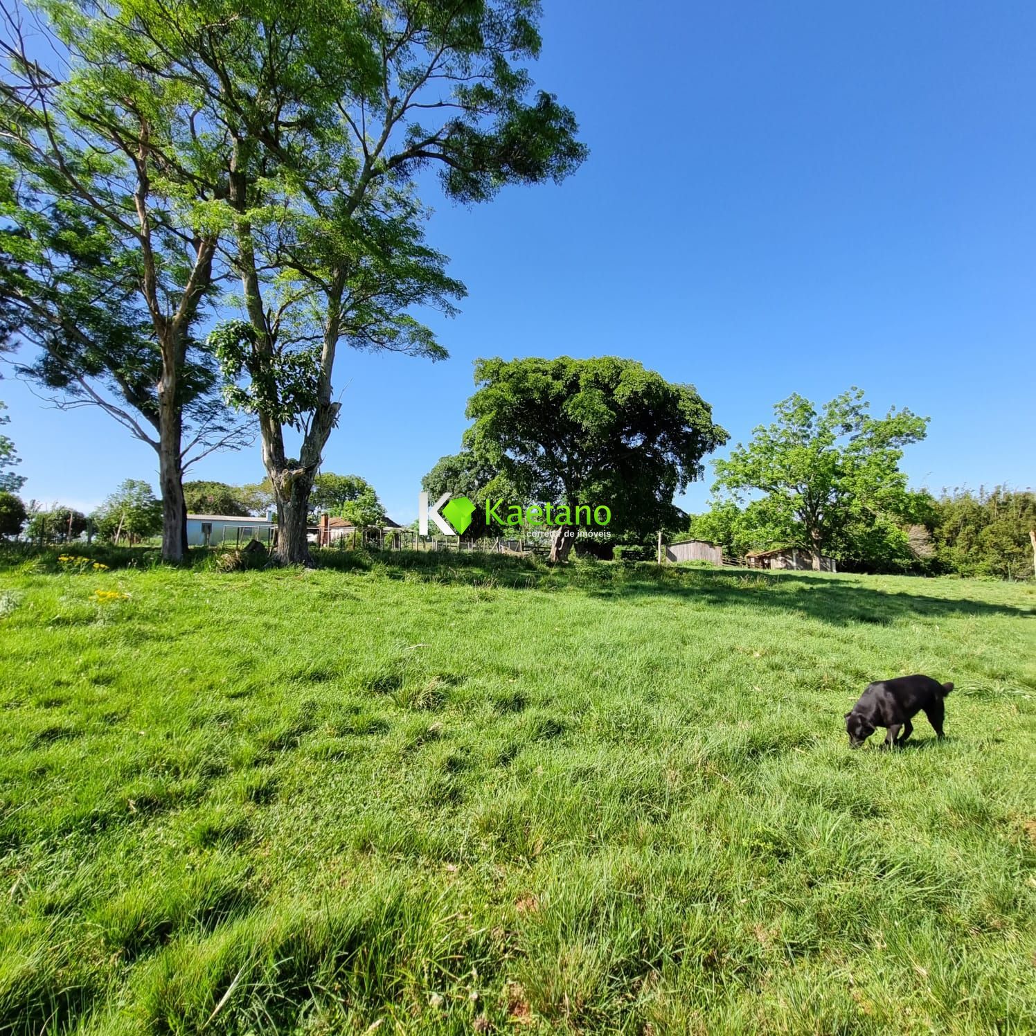 Fazenda à venda com 5 quartos, 200m² - Foto 22