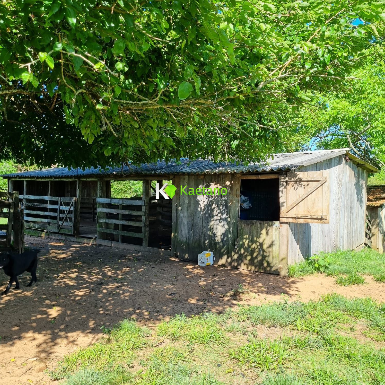 Fazenda à venda com 5 quartos, 200m² - Foto 8