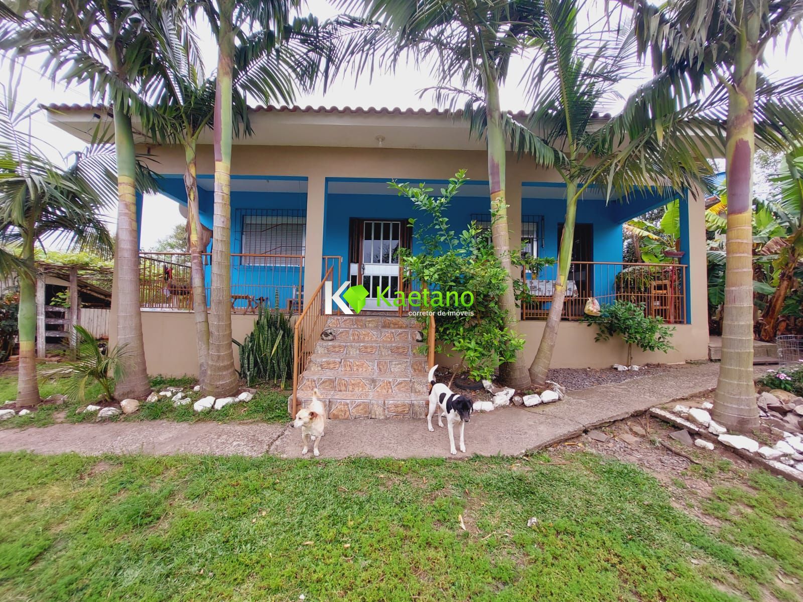 Fazenda à venda com 2 quartos, 80m² - Foto 1