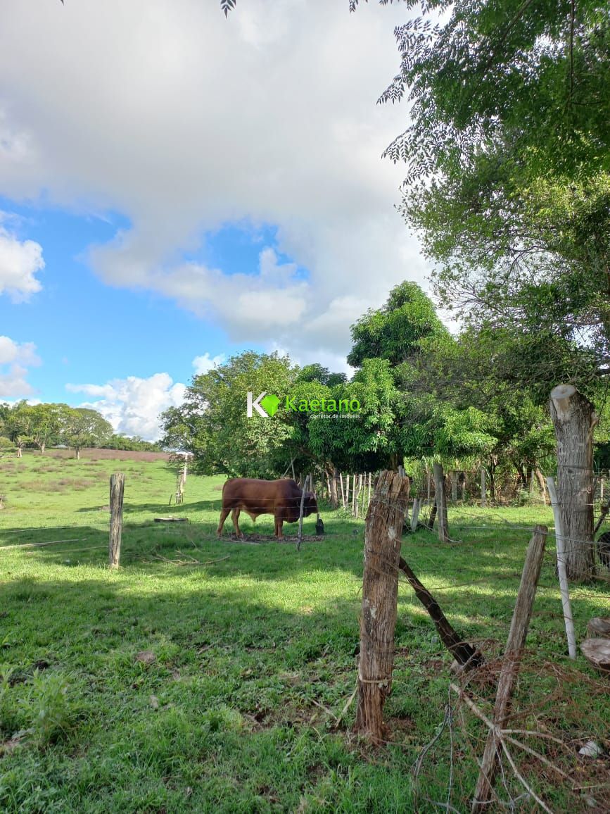 Fazenda à venda com 2 quartos, 100m² - Foto 27