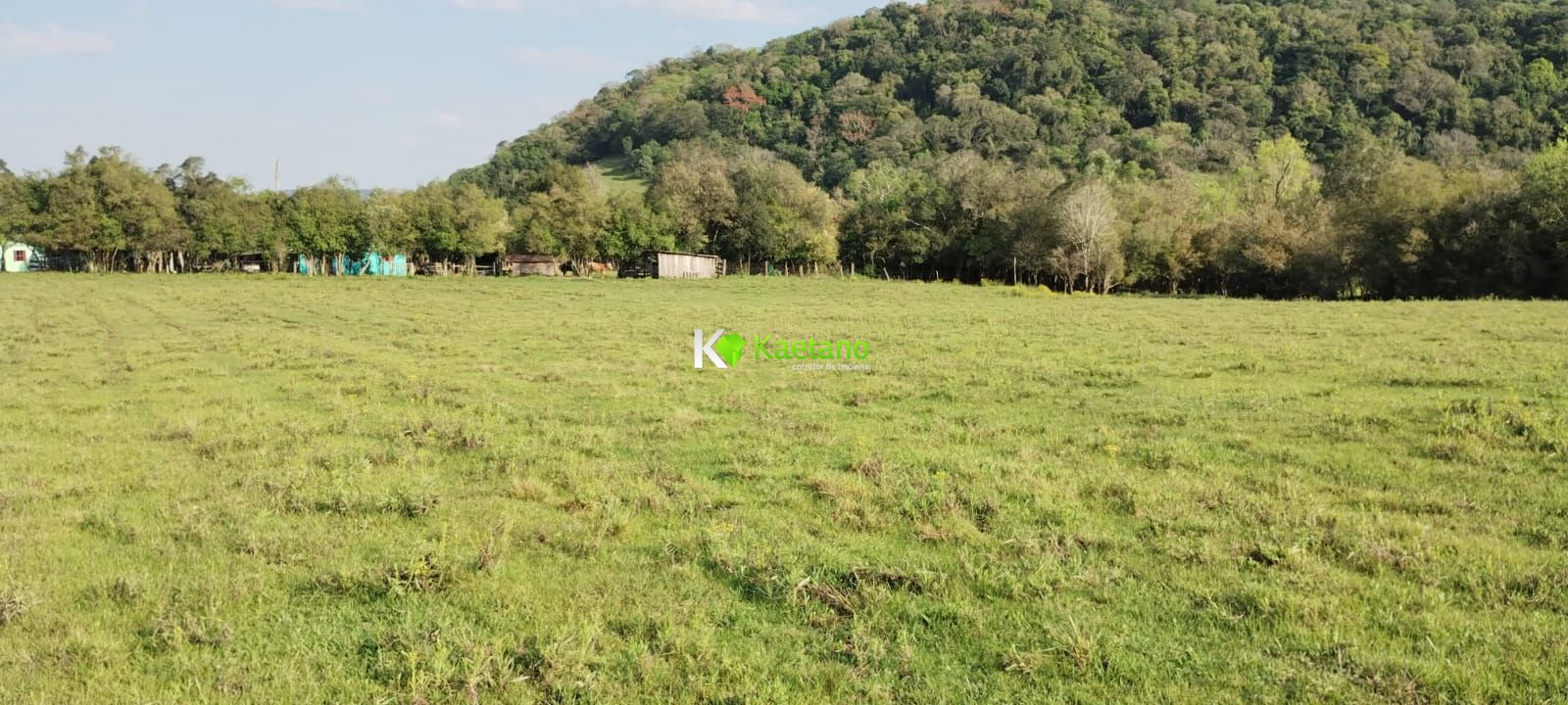 Fazenda à venda com 2 quartos, 50000m² - Foto 5