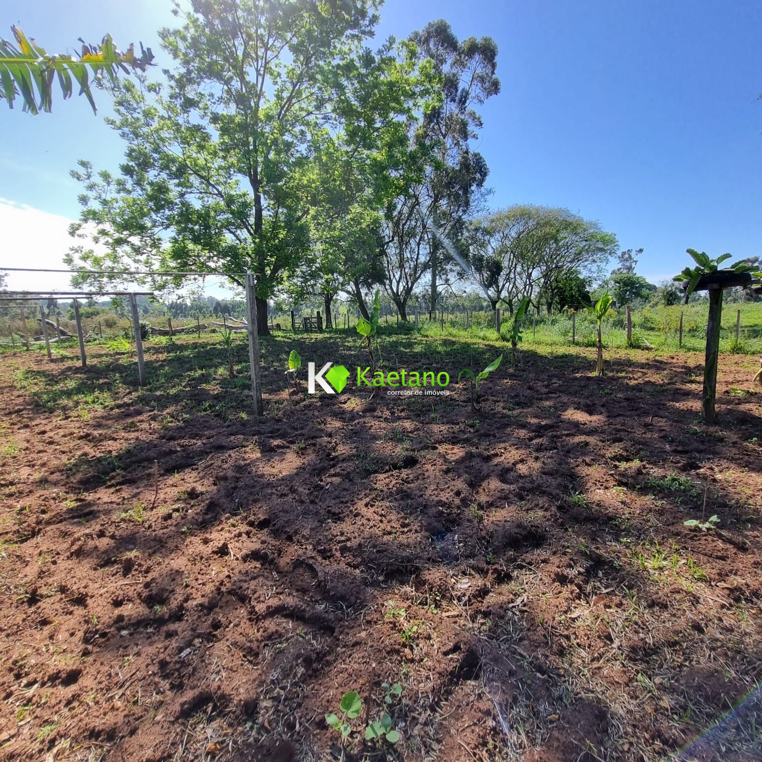 Fazenda à venda com 5 quartos, 200m² - Foto 28