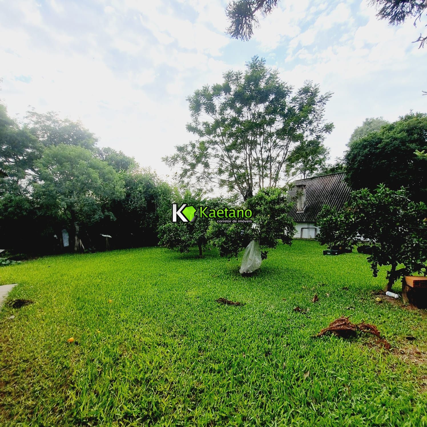 Casa à venda com 4 quartos, 290m² - Foto 10