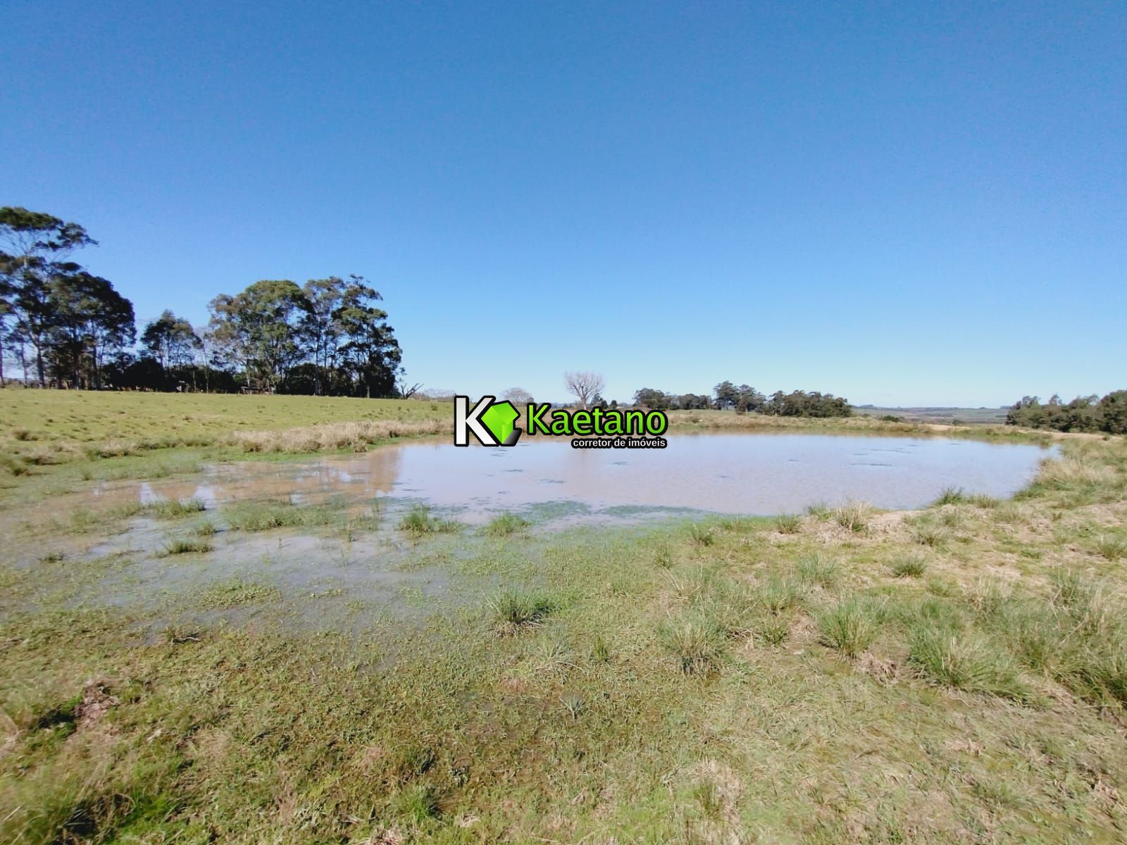 Chácara, 3 quartos, 12 hectares - Foto 10