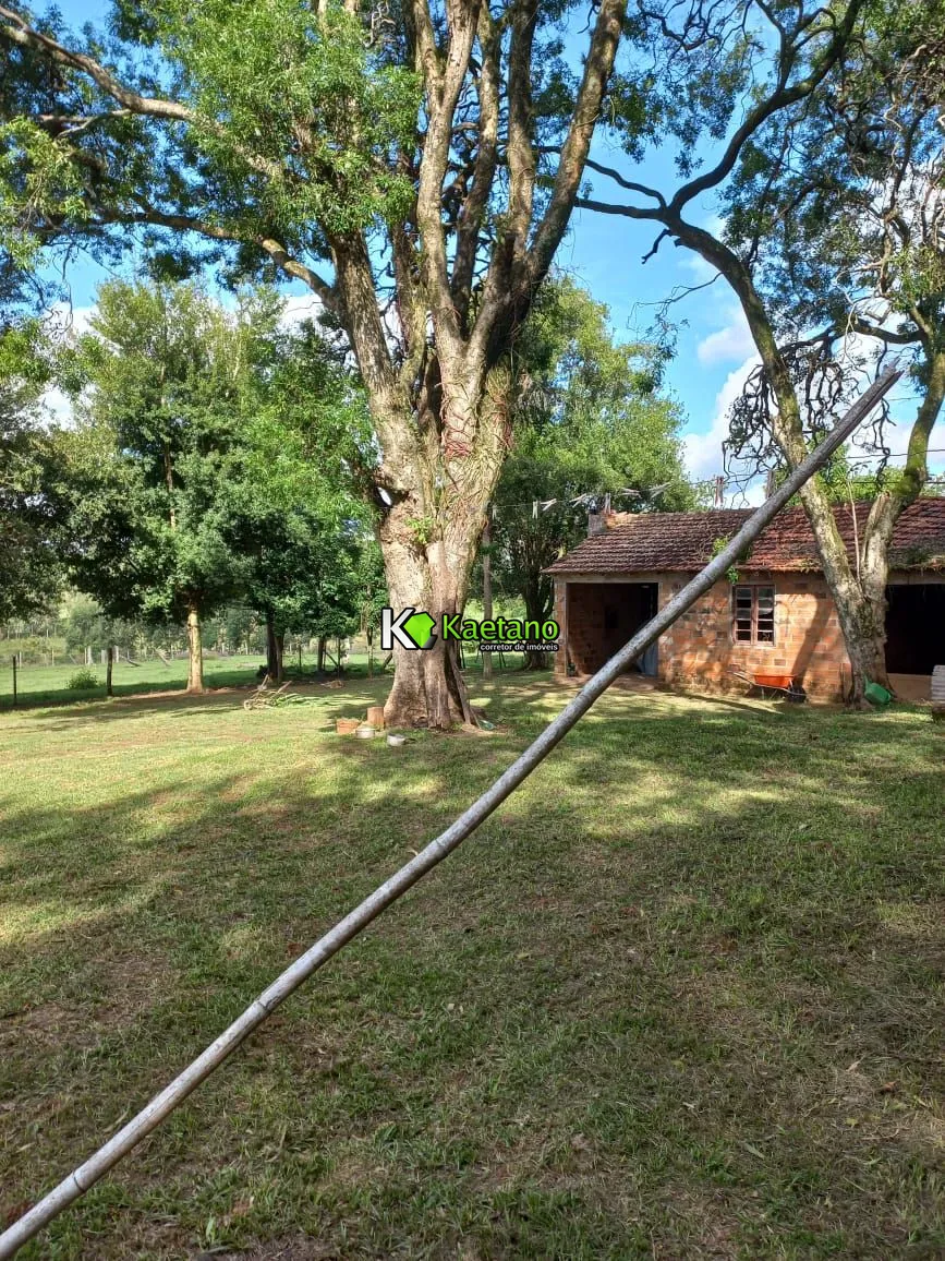 Chácara, 2 quartos, 5 hectares - Foto 21