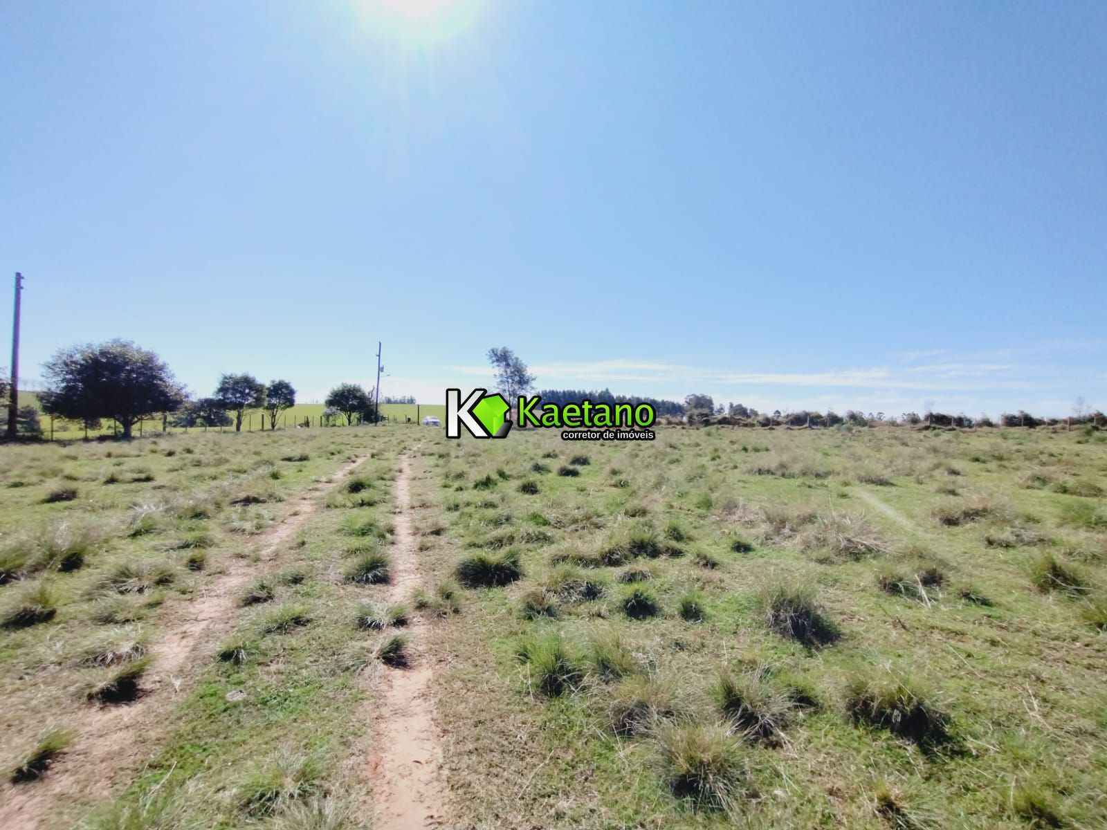 Chácara, 3 quartos, 12 hectares - Foto 6