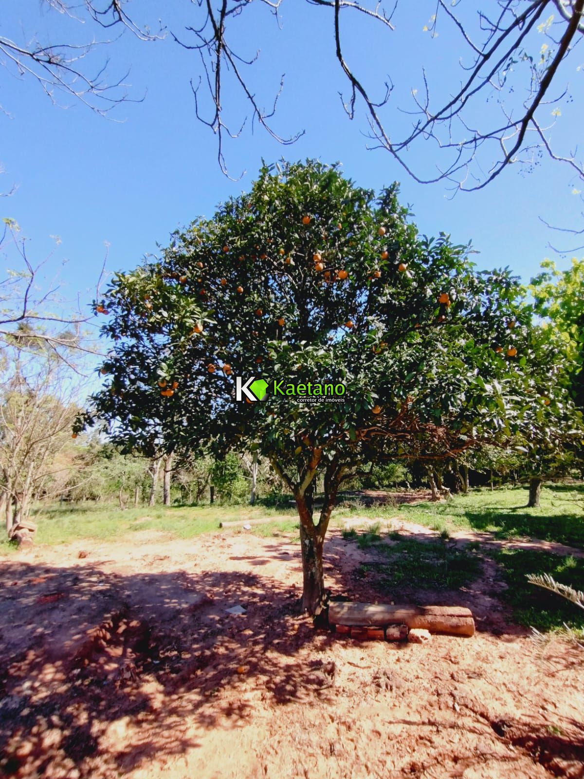 Chácara, 3 quartos, 12 hectares - Foto 9