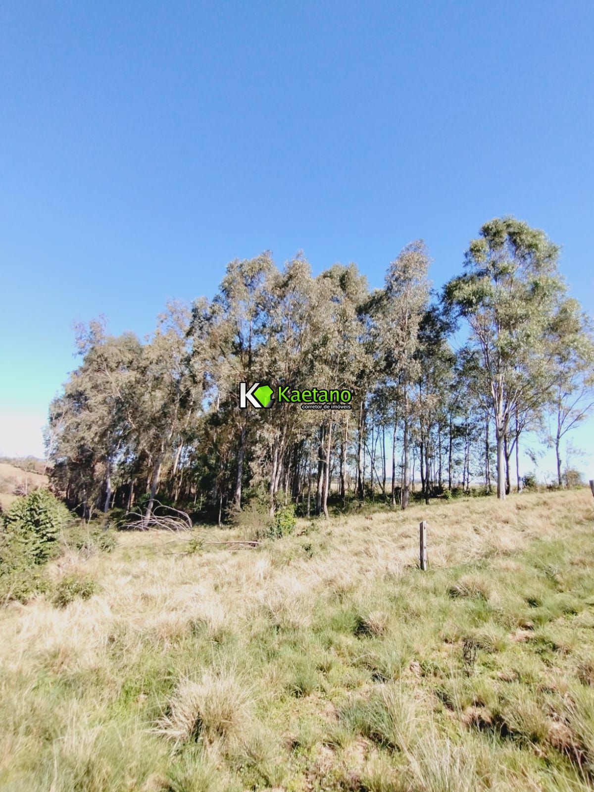 Chácara, 3 quartos, 12 hectares - Foto 29