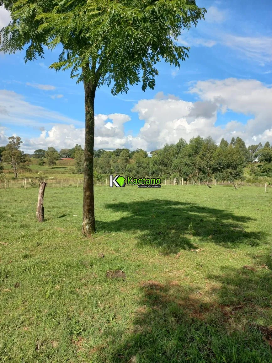 Chácara, 2 quartos, 5 hectares - Foto 6