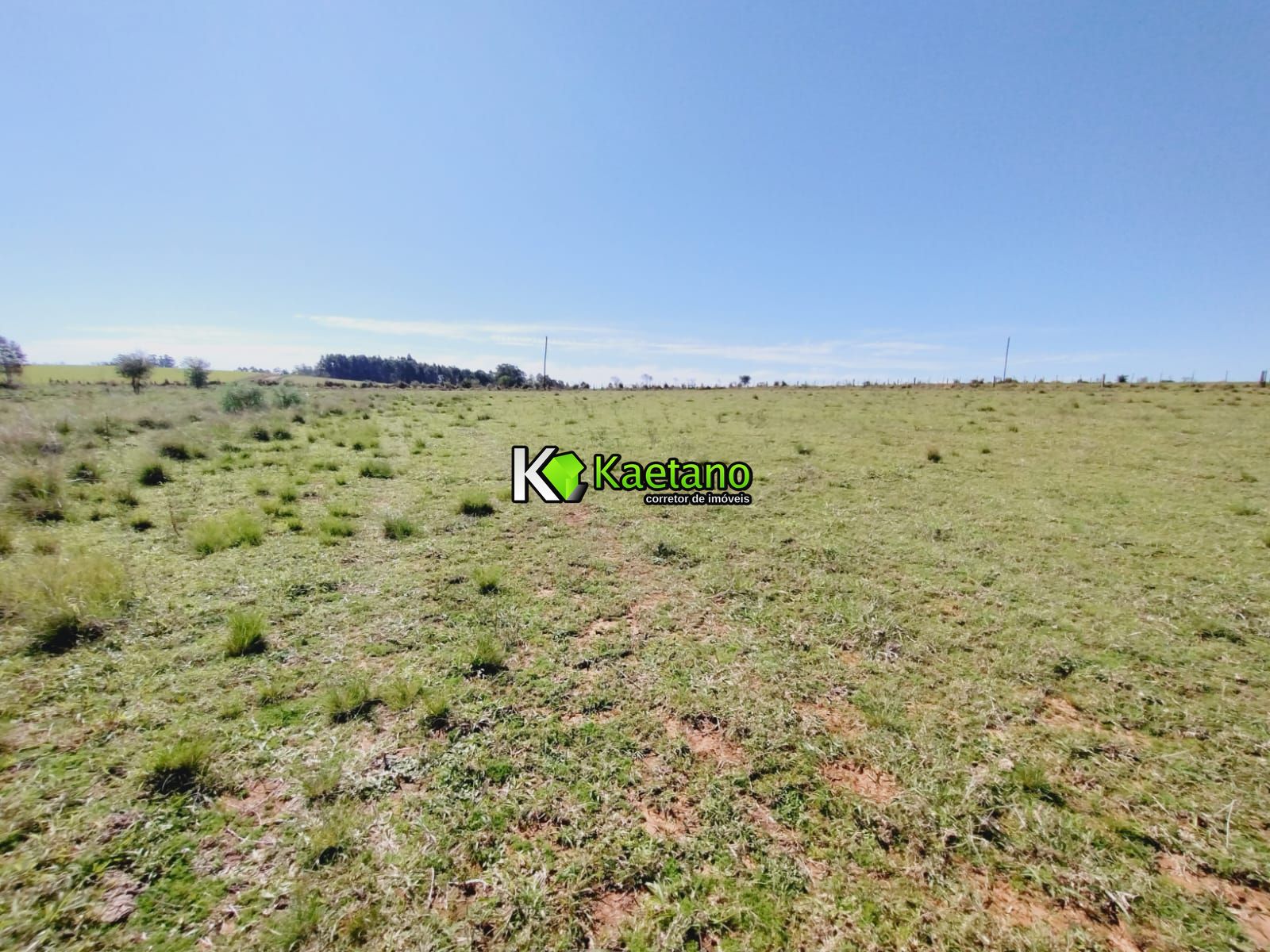 Chácara, 3 quartos, 12 hectares - Foto 20