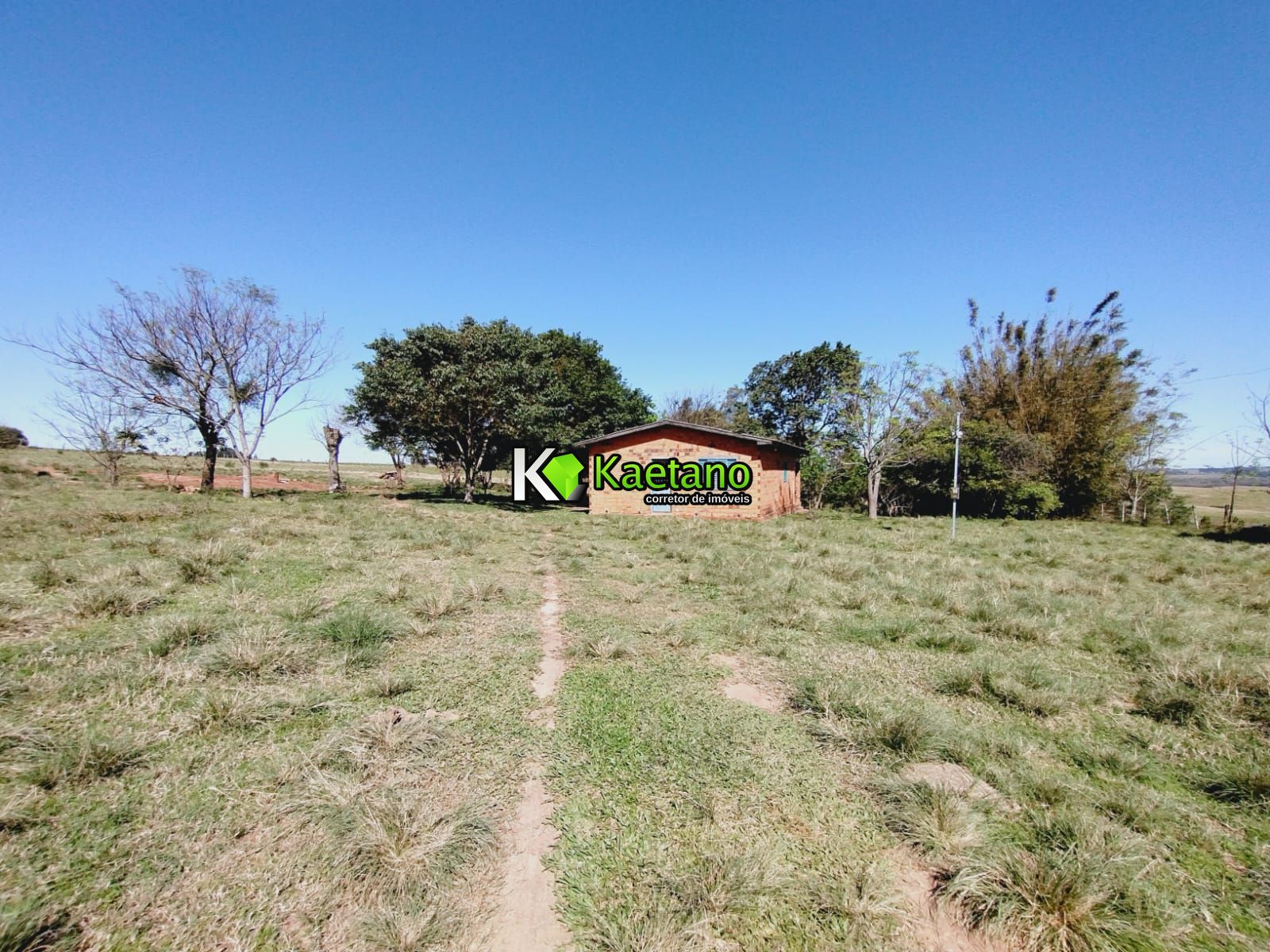 Chácara, 3 quartos, 12 hectares - Foto 2