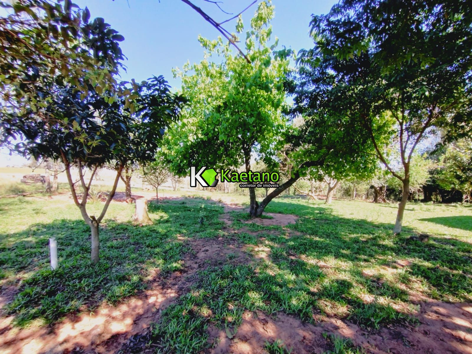 Chácara, 3 quartos, 12 hectares - Foto 8