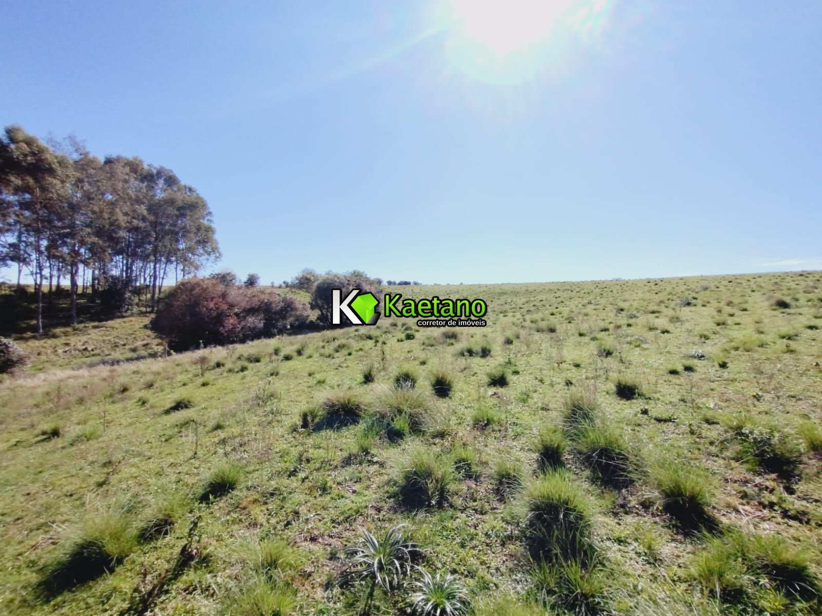 Chácara, 3 quartos, 12 hectares - Foto 30