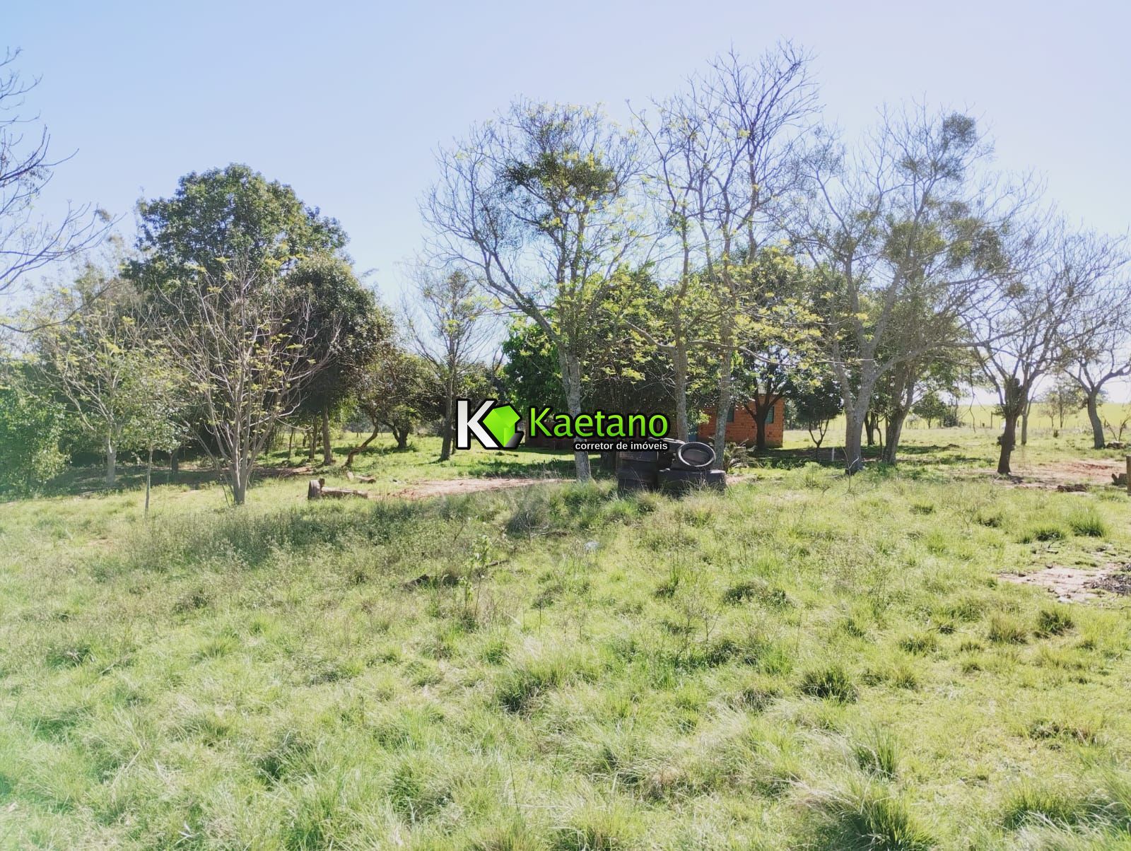 Chácara, 3 quartos, 12 hectares - Foto 7