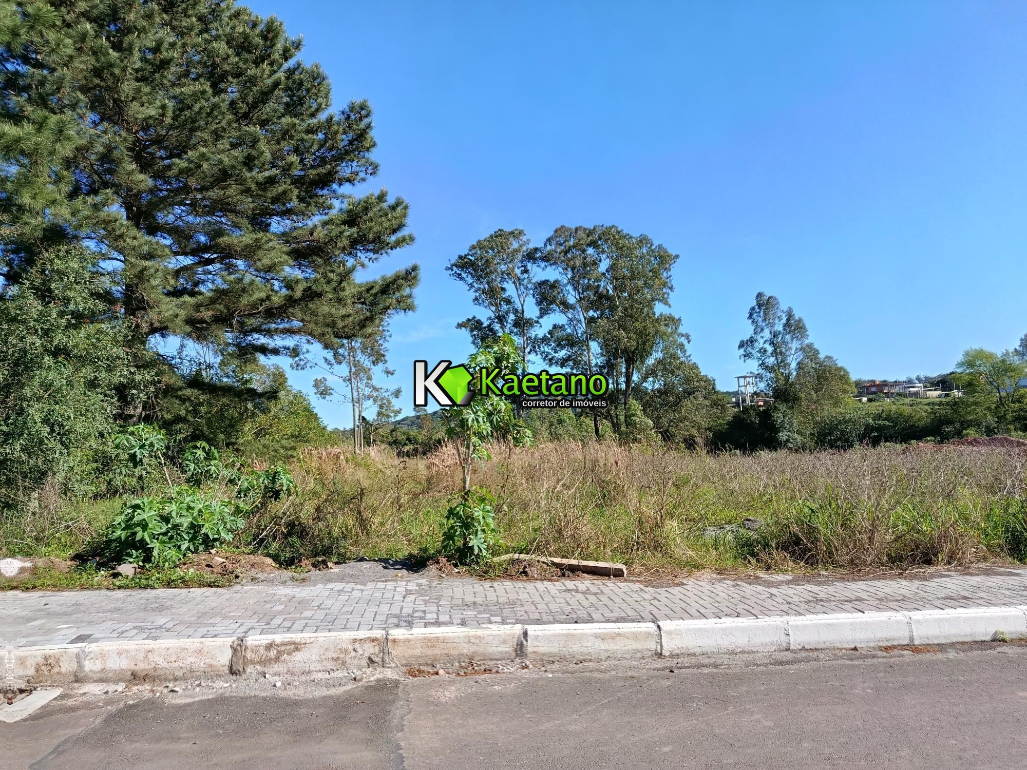 Terreno, 2275 m² - Foto 1