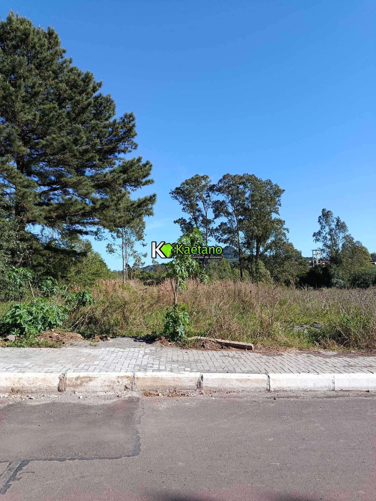 Terreno, 2275 m² - Foto 5