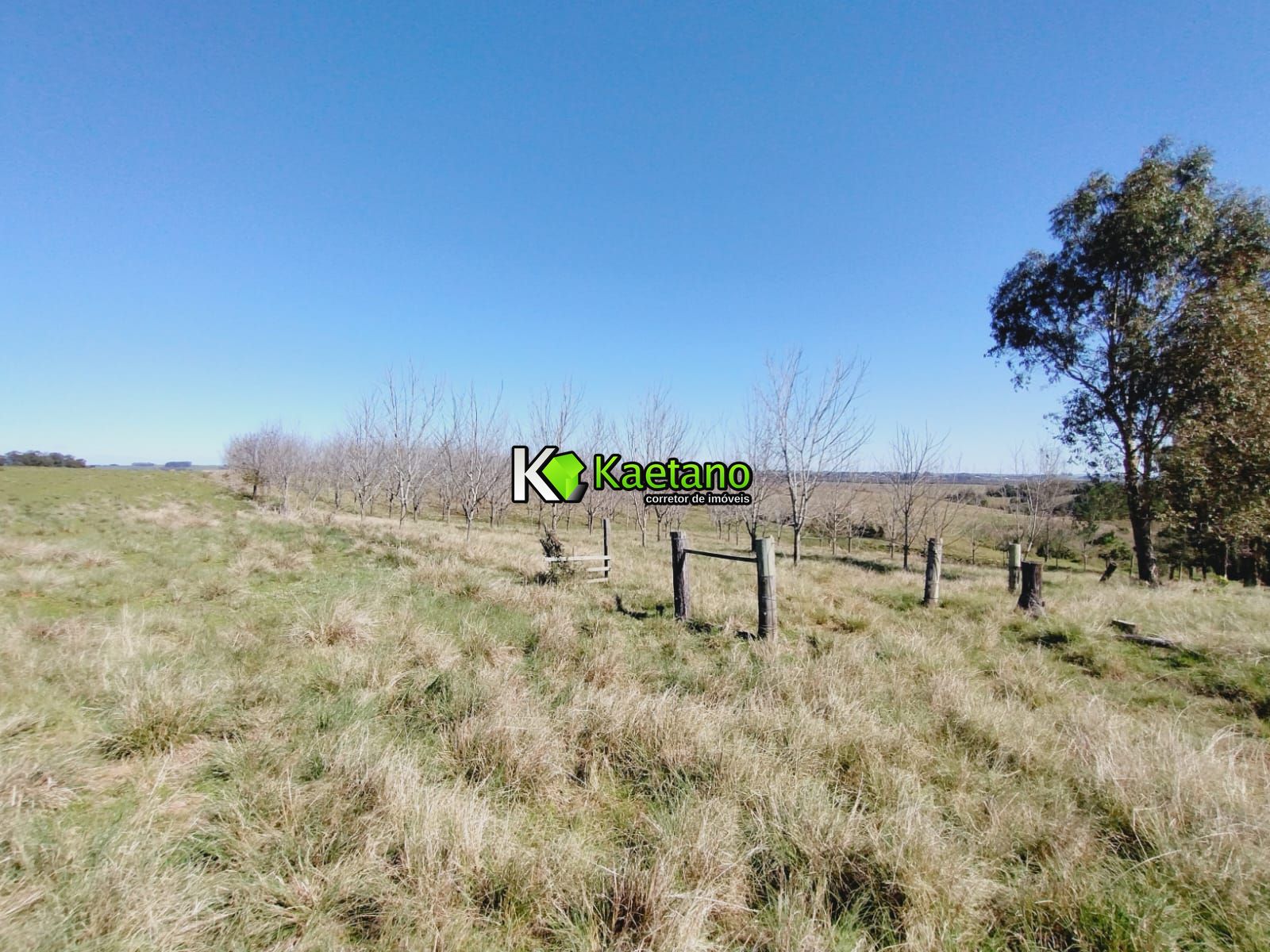 Chácara, 3 quartos, 12 hectares - Foto 16