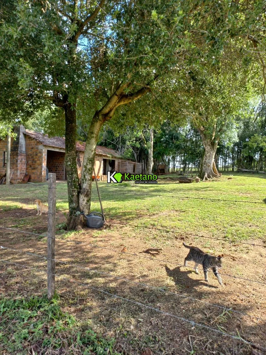Chácara, 2 quartos, 5 hectares - Foto 19