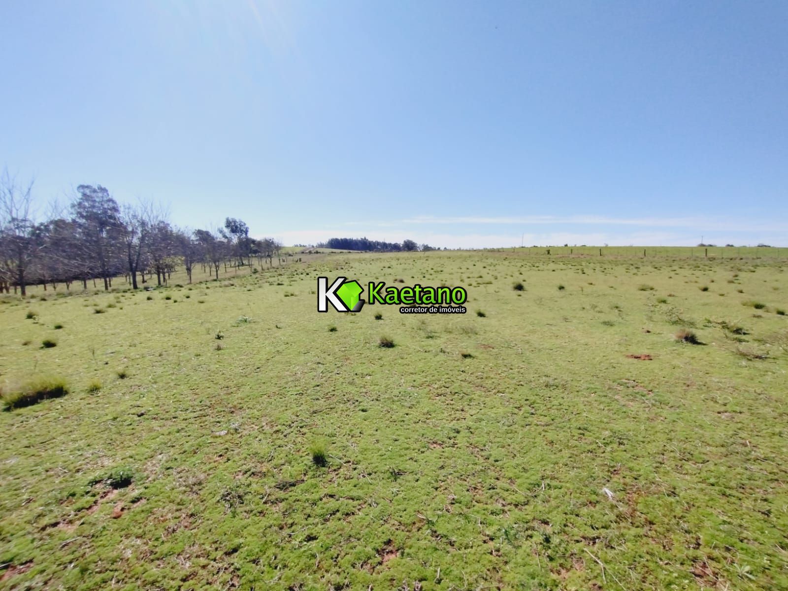 Chácara, 3 quartos, 12 hectares - Foto 22