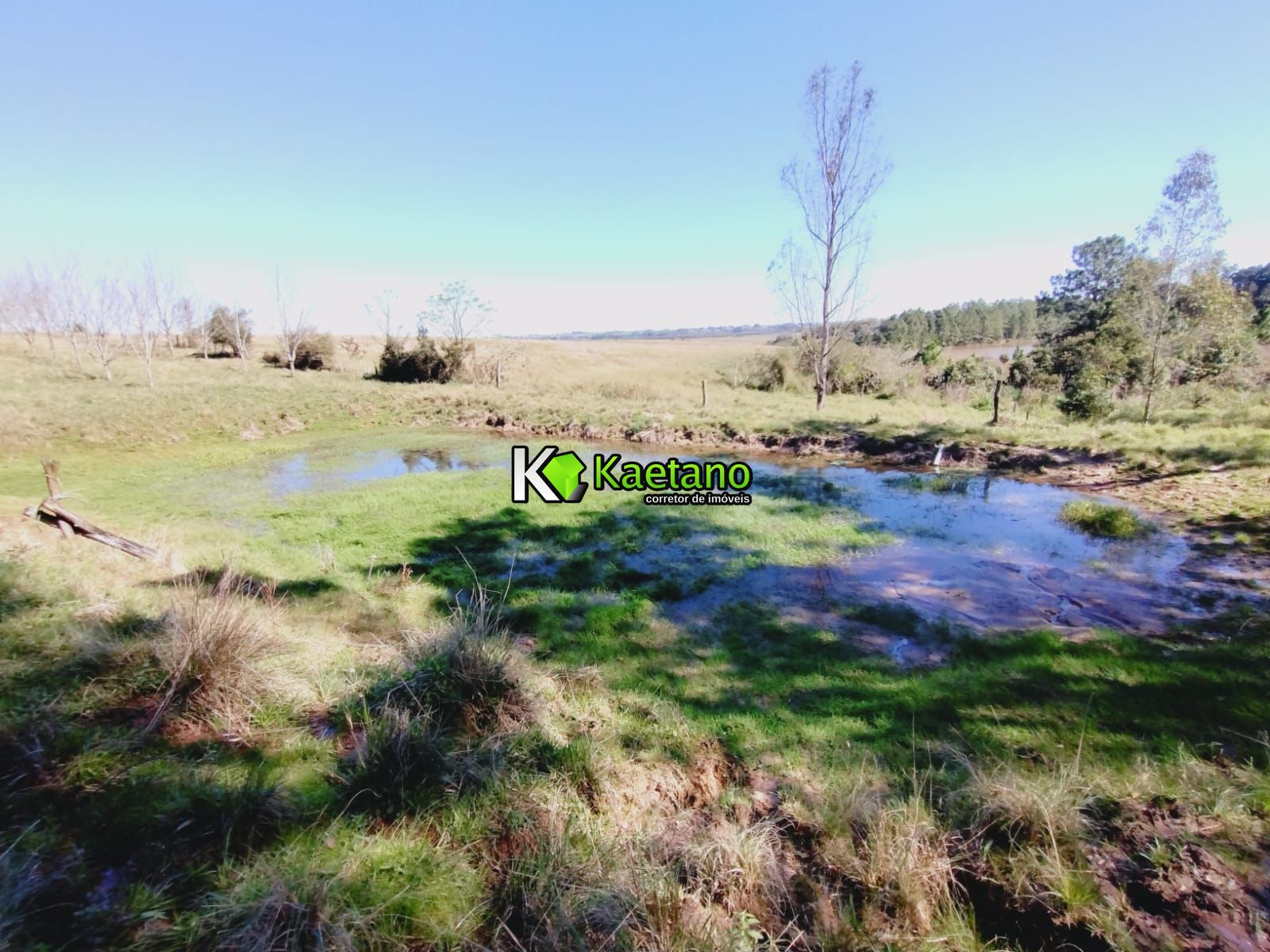 Chácara, 3 quartos, 12 hectares - Foto 12