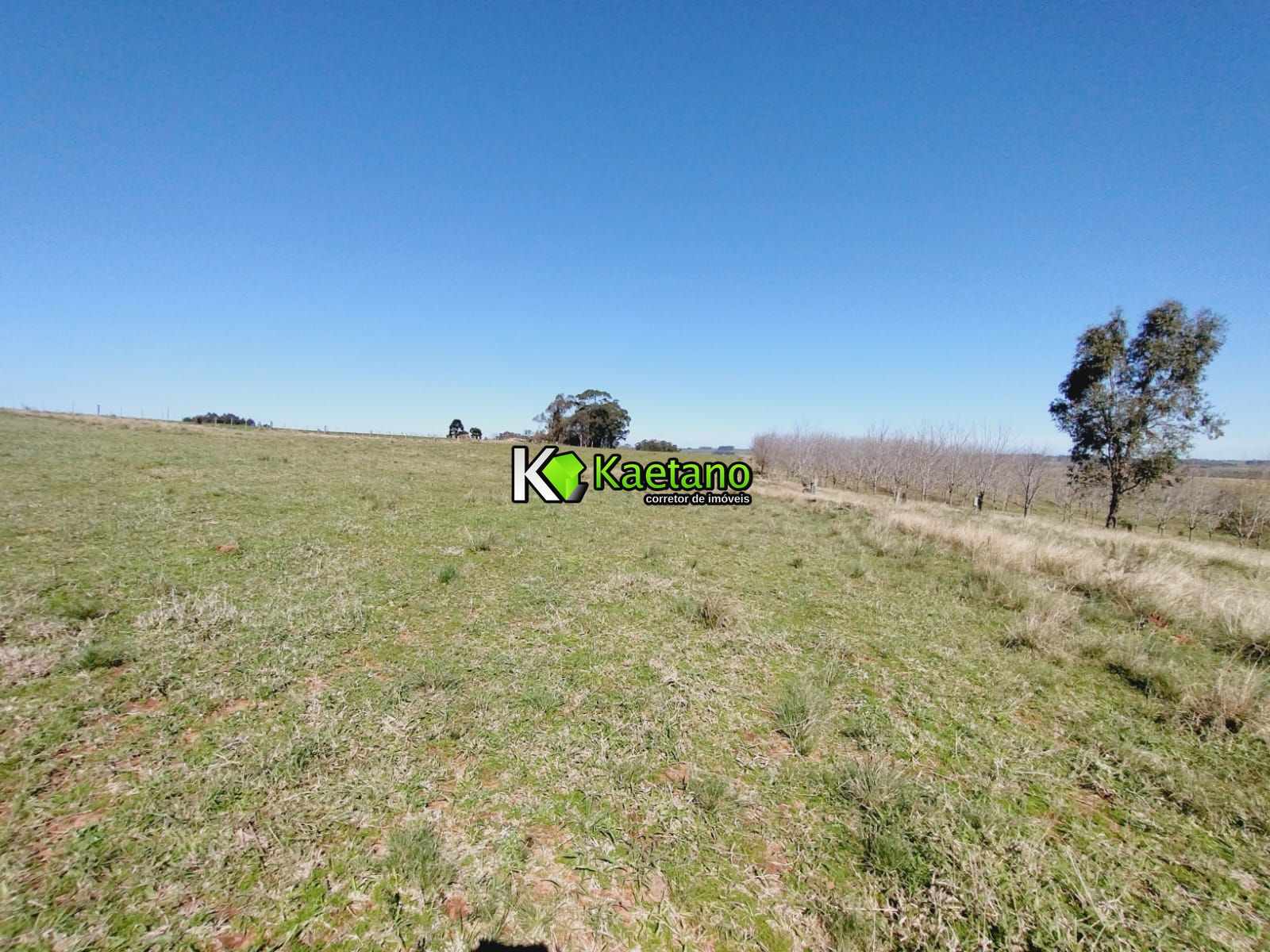 Chácara, 3 quartos, 12 hectares - Foto 17