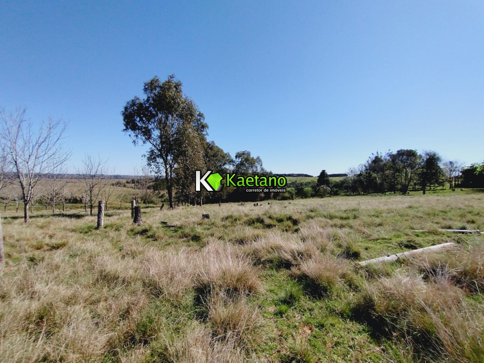 Chácara, 3 quartos, 12 hectares - Foto 24