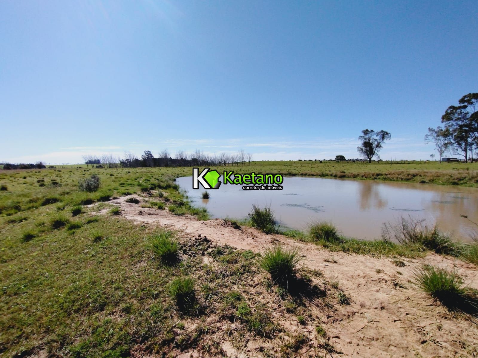 Chácara, 3 quartos, 12 hectares - Foto 11