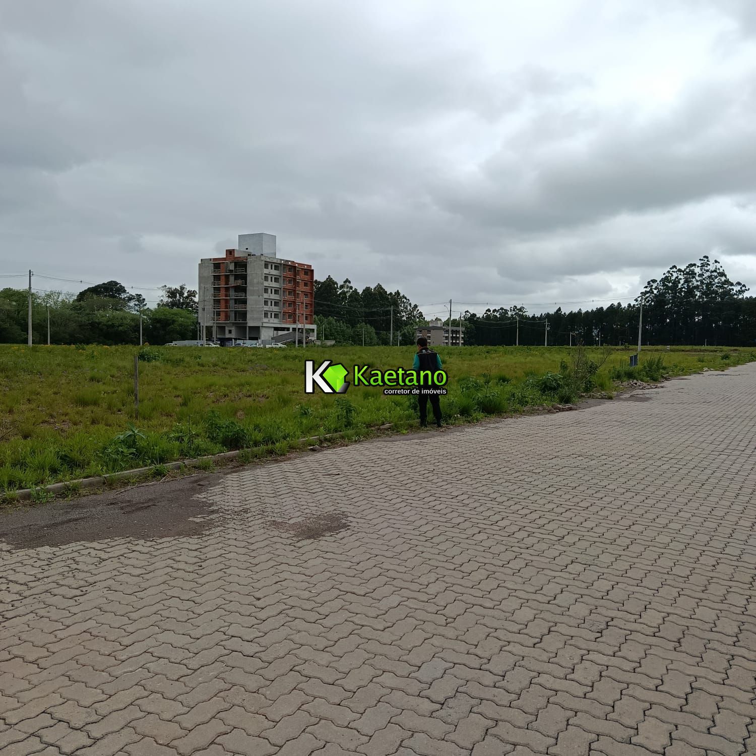 Terreno, 351 m² - Foto 4