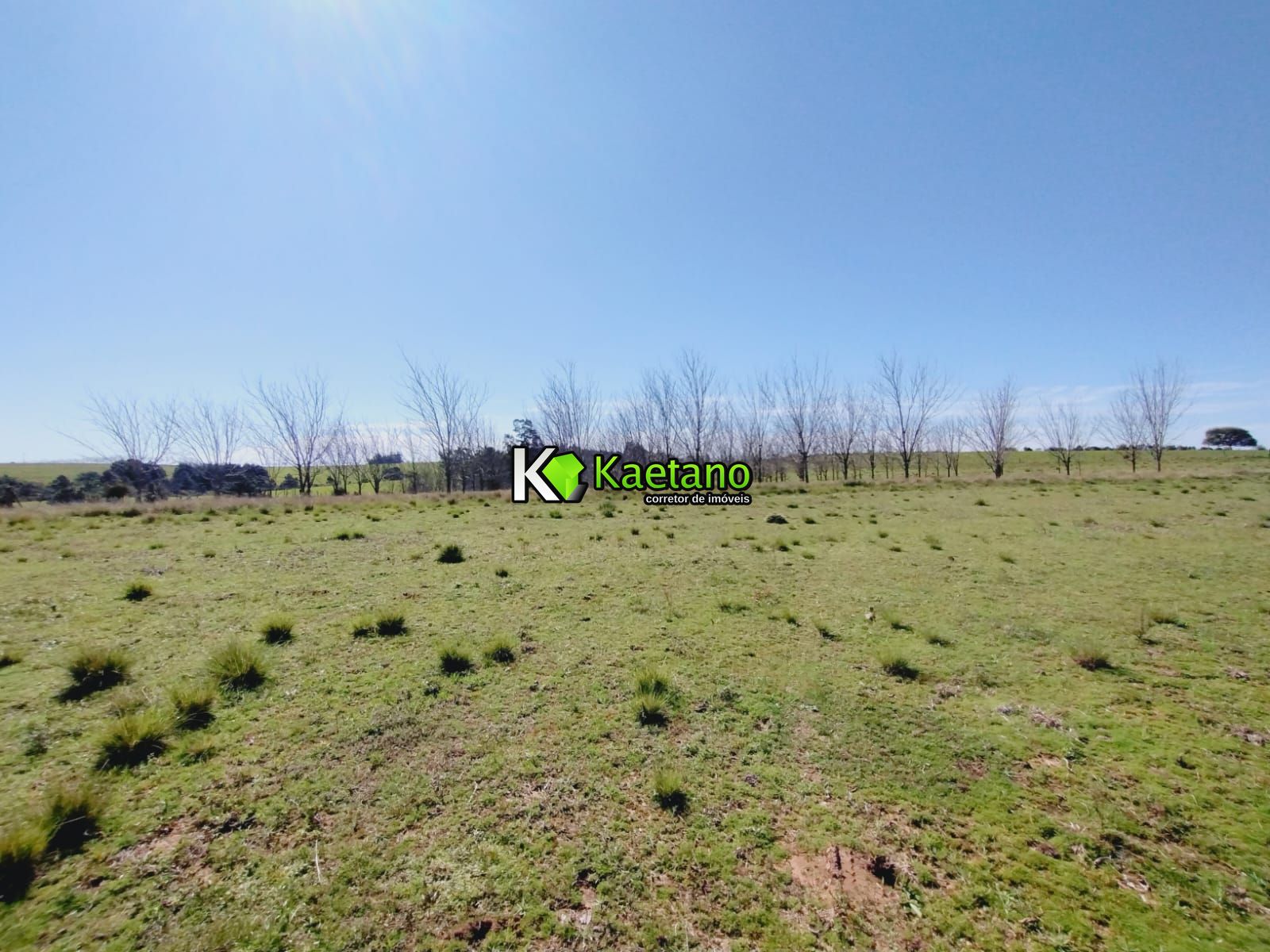 Chácara, 3 quartos, 12 hectares - Foto 26